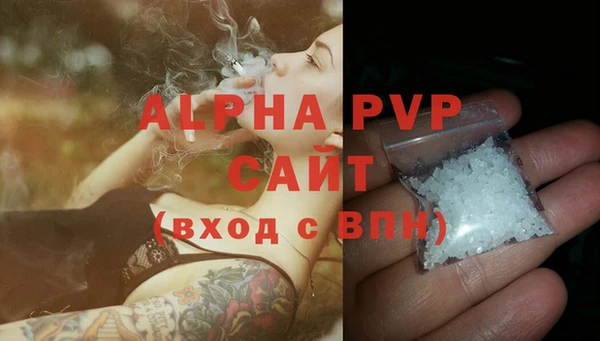 молекула духа Карпинск