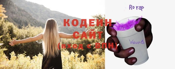 молекула духа Карпинск