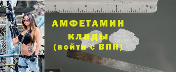 молекула духа Карпинск