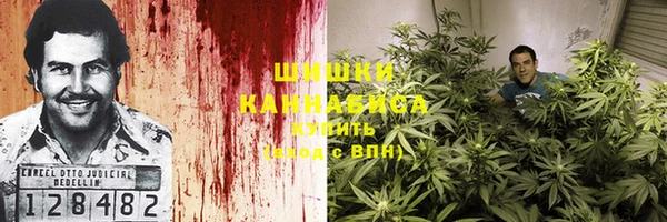 молекула духа Карпинск