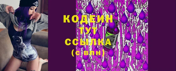 молекула духа Карпинск