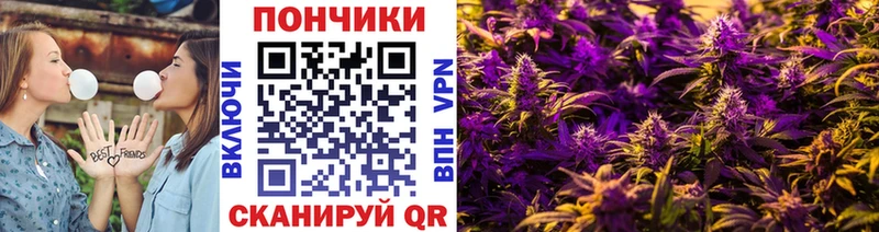 Канабис Amnesia  Купить где  Зубцов 